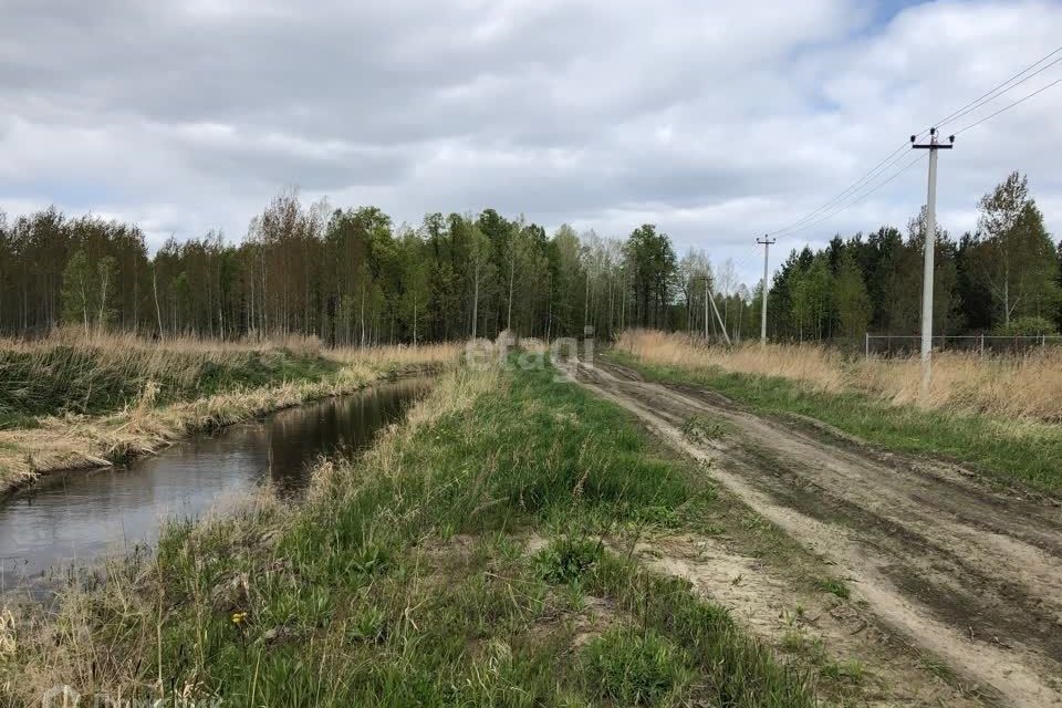 земля р-н Нижнетавдинский ДНП Журавли фото 3