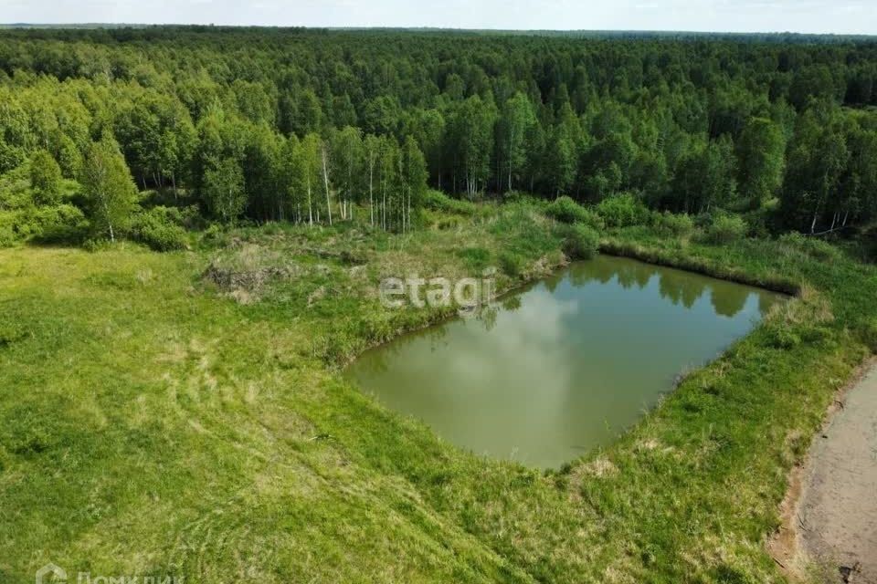 земля р-н Нижнетавдинский ДНП Журавли фото 3