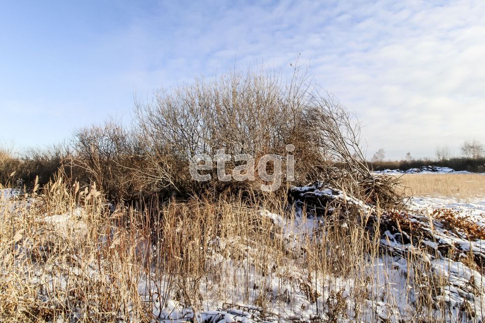 земля г Тюмень городской округ Тюмень, садовое товарищество Поле Чудес фото 4