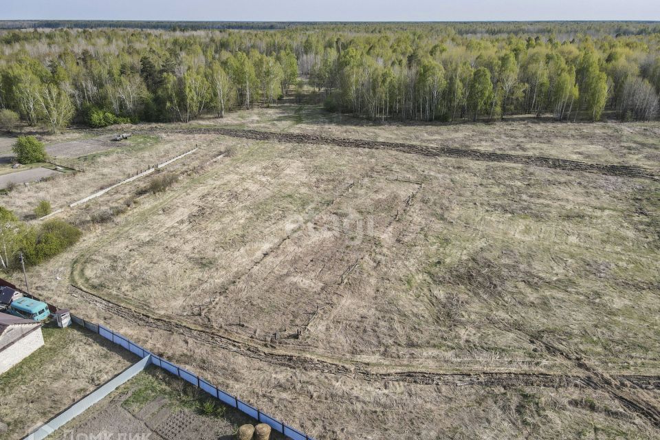 земля р-н Нижнетавдинский деревня Московка фото 2