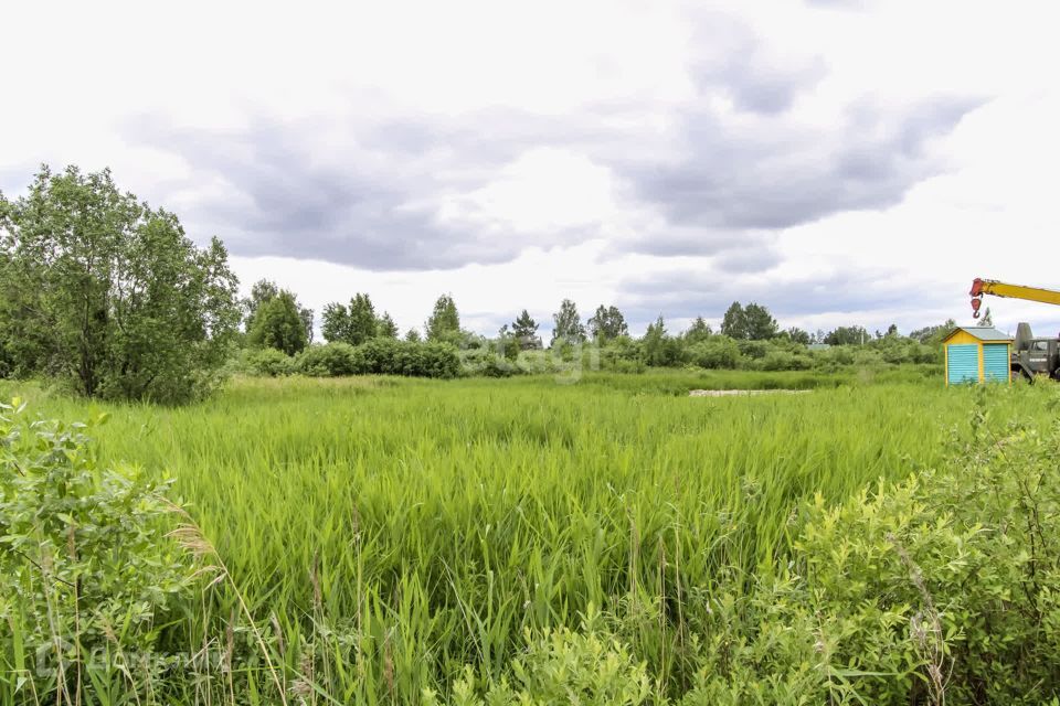 земля г Тюмень снт Матрешка городской округ Тюмень, Знатная улица фото 4