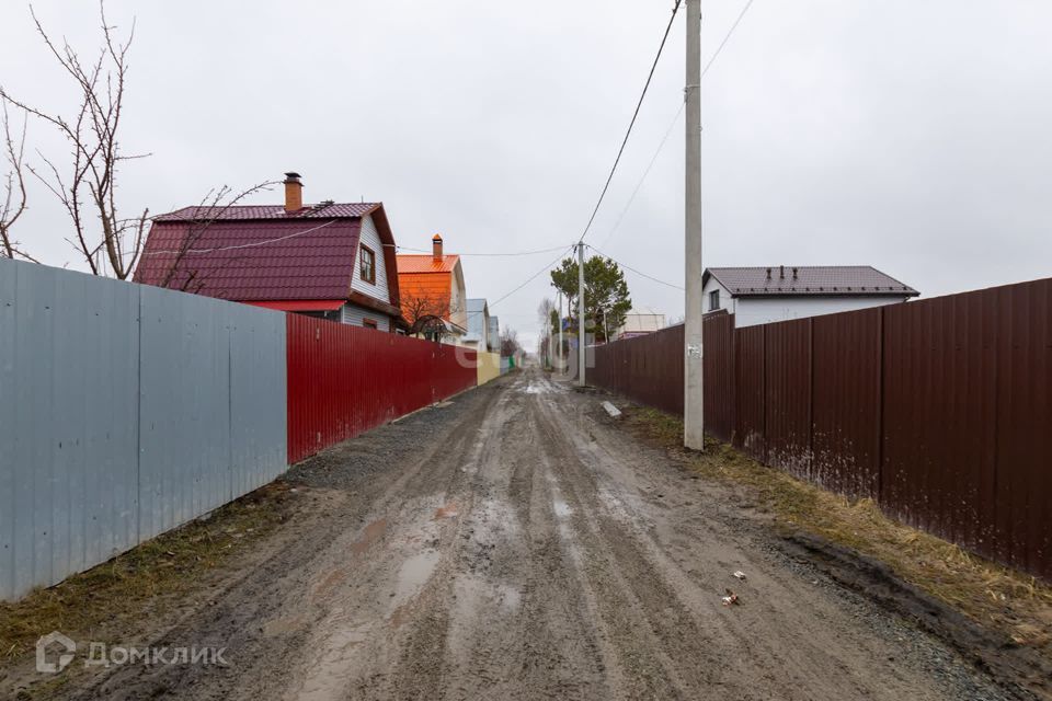 земля р-н Тюменский снт Лесник-2 ул Рябиновая фото 3