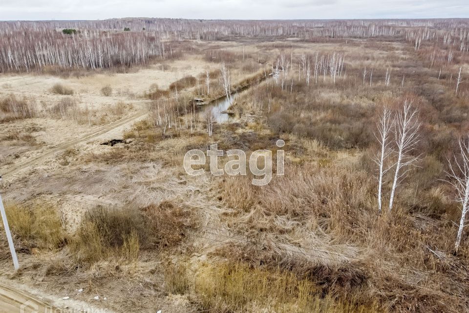 земля р-н Нижнетавдинский садовое товарищество Моторостроитель фото 2