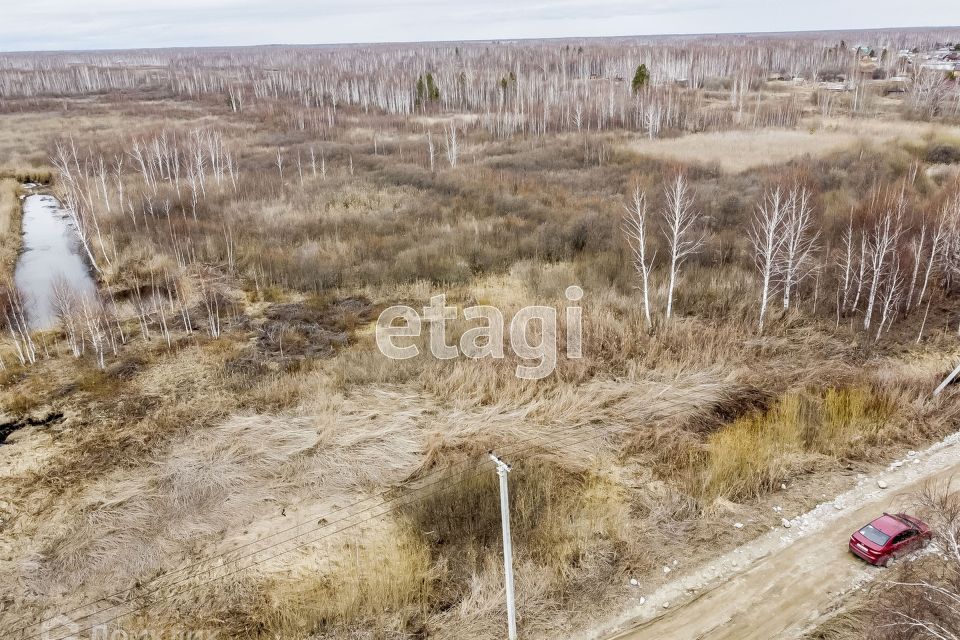 земля р-н Нижнетавдинский садовое товарищество Моторостроитель фото 4