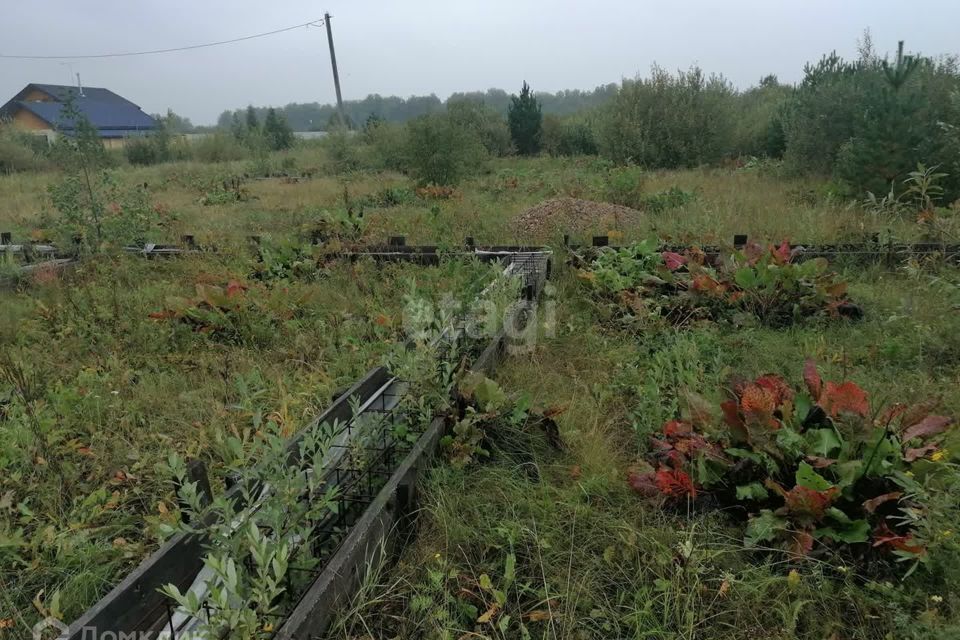 земля р-н Тюменский д Головина ул Береговая Онохинское сельское поселение фото 2