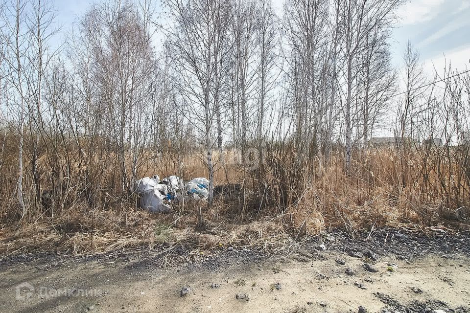 земля г Тюмень городской округ Тюмень, Яблоневая фото 3