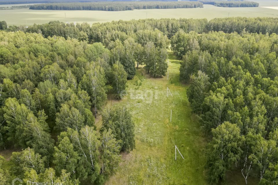 земля р-н Нижнетавдинский деревня Малый Хутор, Дорожная улица фото 3