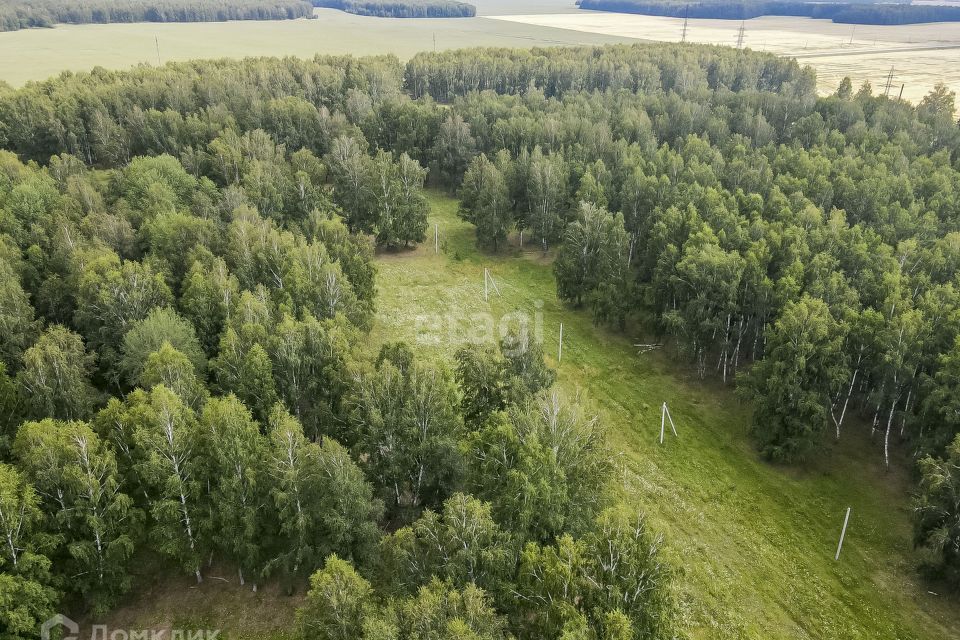 земля р-н Нижнетавдинский деревня Малый Хутор, Дорожная улица фото 4