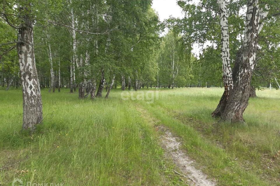 земля р-н Нижнетавдинский деревня Малый Хутор, Дорожная улица фото 3