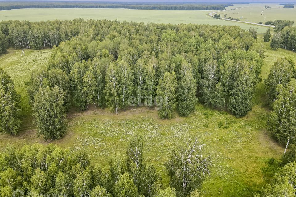 земля р-н Нижнетавдинский деревня Малый Хутор, Дорожная улица фото 4