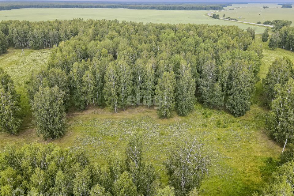 земля р-н Нижнетавдинский деревня Малый Хутор, Дорожная улица фото 4