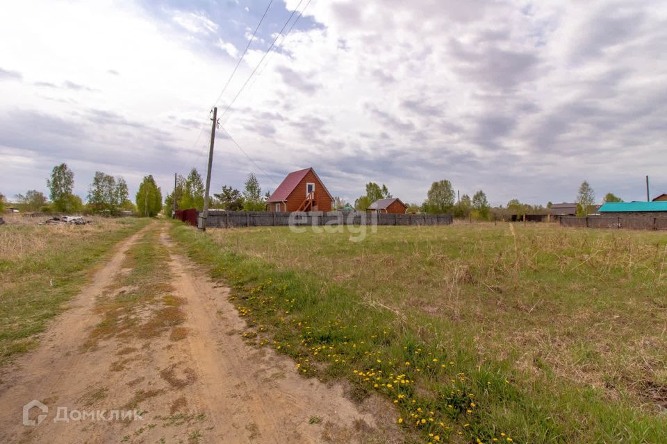 земля городской округ Тюмень, садовые участки Светлое фото 3