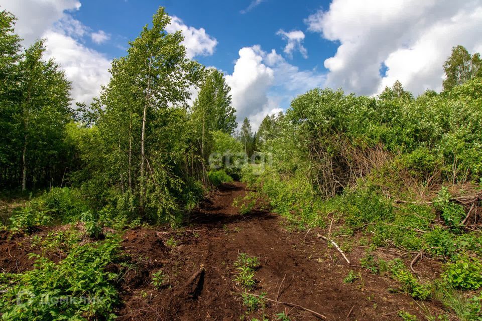 земля р-н Нижнетавдинский СТ Здоровье-3 фото 2