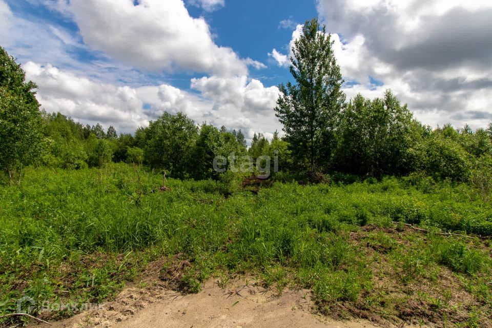 земля р-н Нижнетавдинский СТ Здоровье-3 фото 4