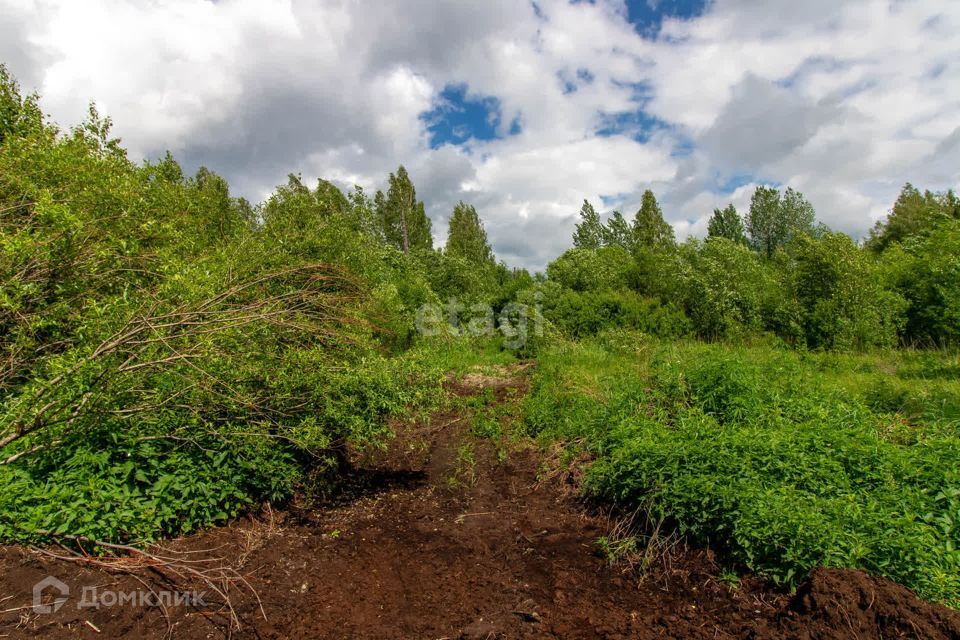 земля р-н Нижнетавдинский СТ Здоровье-3 фото 2