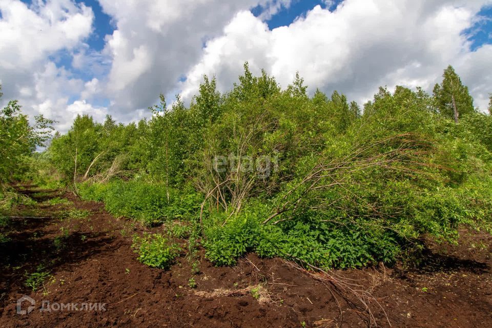 земля р-н Нижнетавдинский СТ Здоровье-3 фото 3