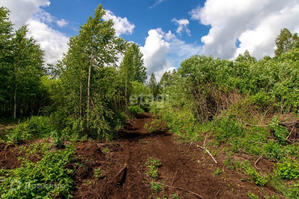 земля р-н Нижнетавдинский СТ Здоровье-3 фото 3