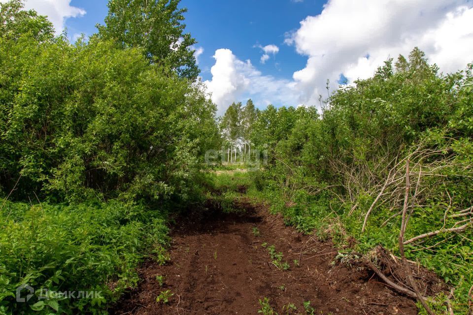 земля р-н Нижнетавдинский СТ Здоровье-3 фото 4