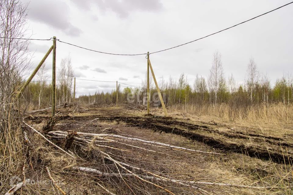 земля г Тюмень городской округ Тюмень, товарищество собственников недвижимости Большое Царёво-1 фото 2