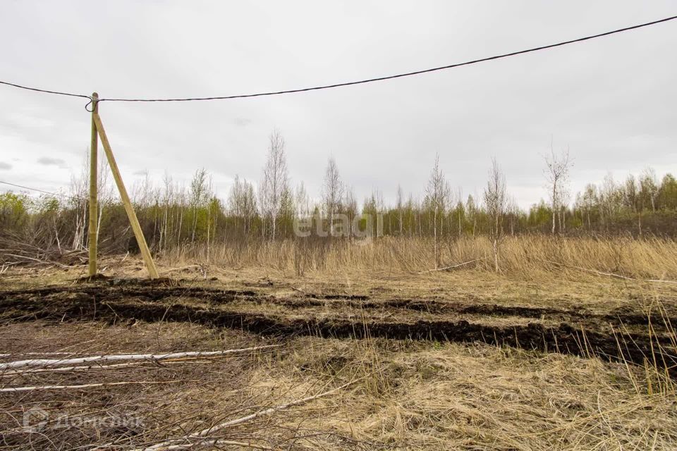 земля г Тюмень городской округ Тюмень, товарищество собственников недвижимости Большое Царёво-1 фото 3