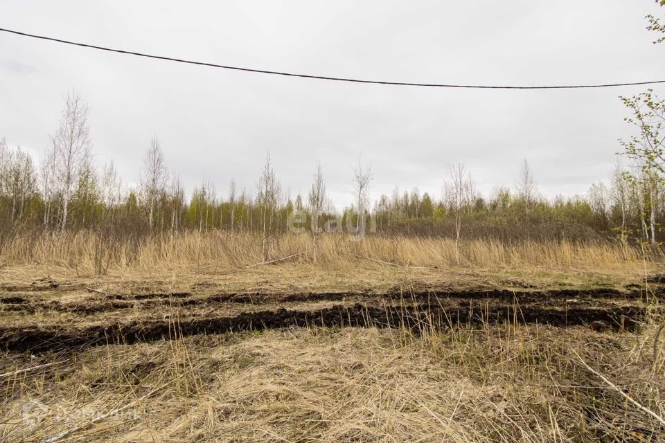 земля г Тюмень городской округ Тюмень, товарищество собственников недвижимости Большое Царёво-1 фото 4