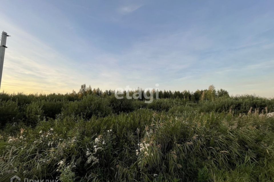 земля городской округ Тюмень, садовые участки Светлое фото 3