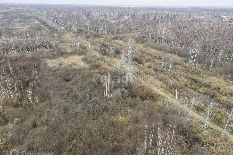 земля р-н Нижнетавдинский садовое товарищество Моторостроитель фото 2