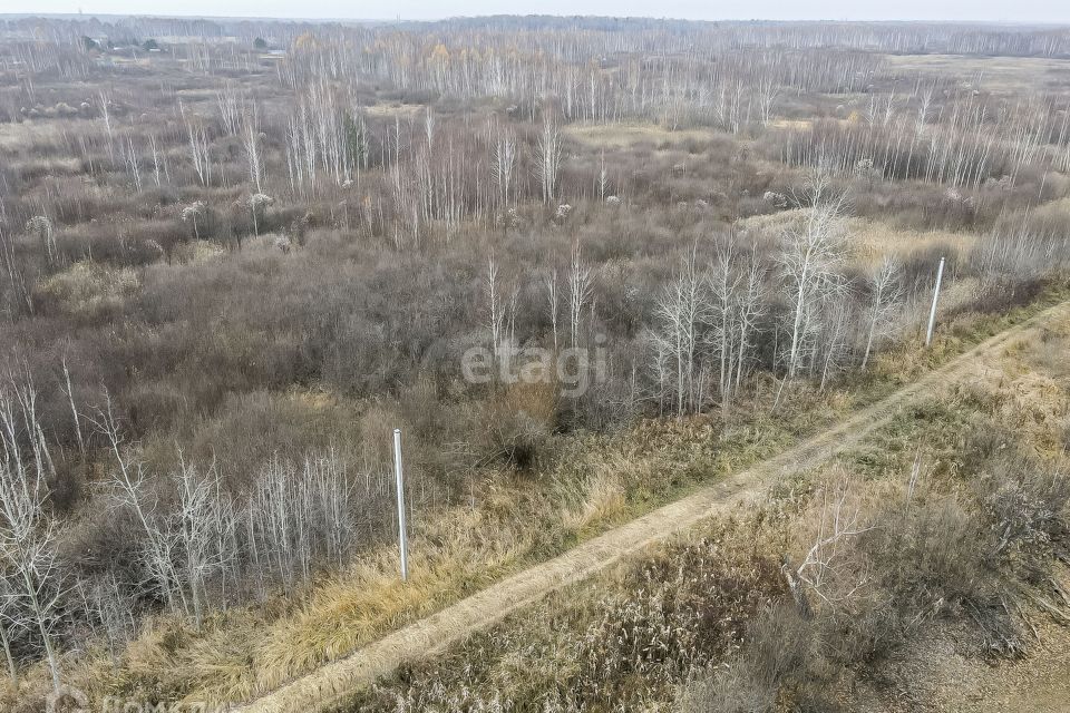 земля р-н Нижнетавдинский садовое товарищество Моторостроитель фото 4