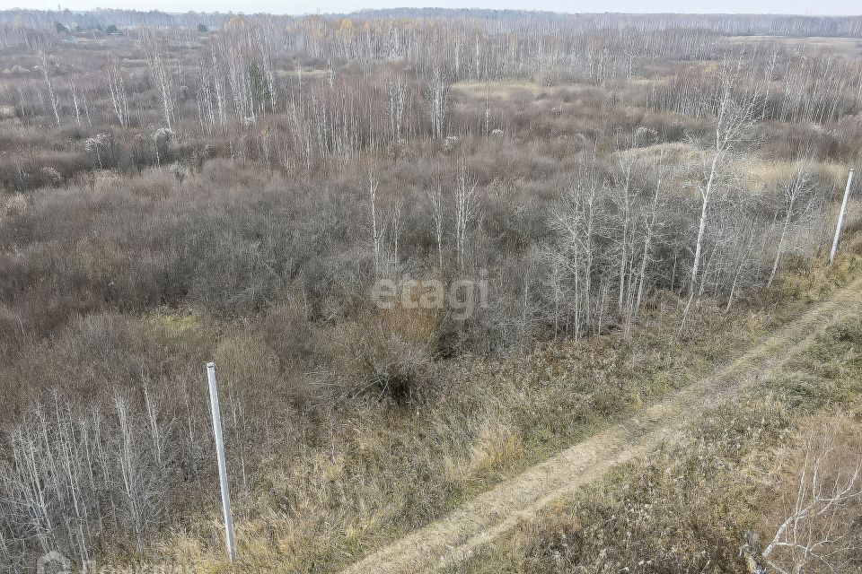 земля р-н Нижнетавдинский садовое товарищество Моторостроитель фото 3