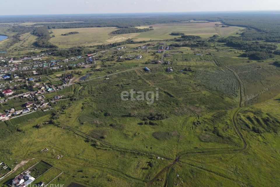 земля р-н Слободо-Туринский село Усть-Ницинское фото 5