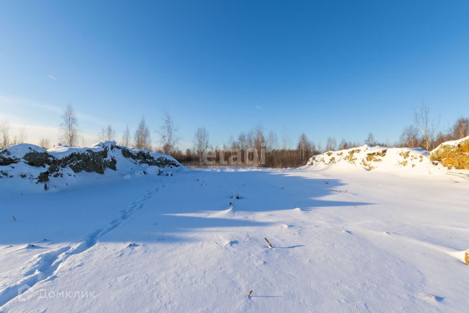 земля г Тюмень городской округ Тюмень, СНТ Березняки фото 8