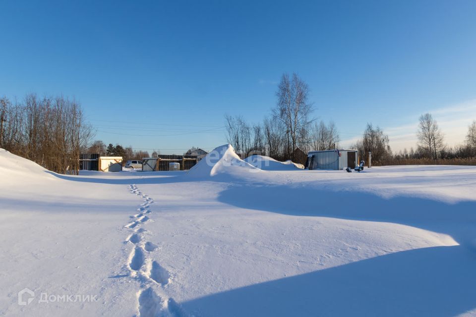 земля г Тюмень городской округ Тюмень, СНТ Березняки фото 9