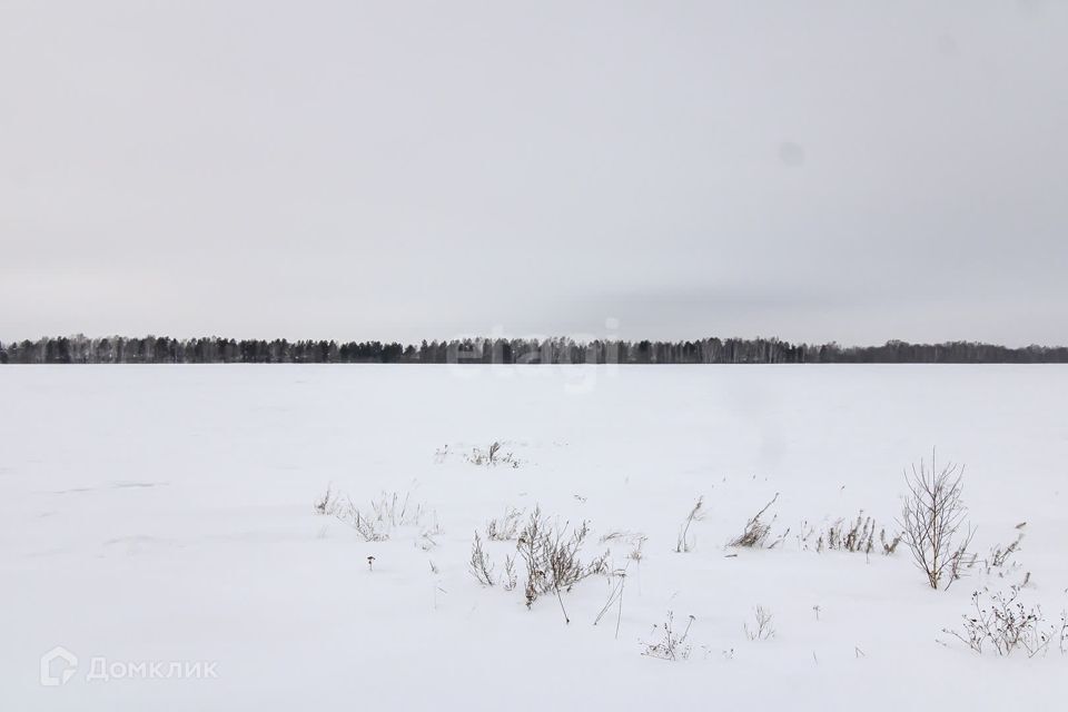 земля р-н Ленинский село Каменское фото 5