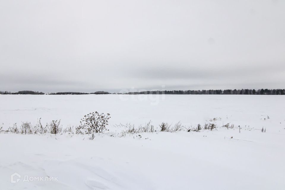 земля р-н Ленинский село Каменское фото 9