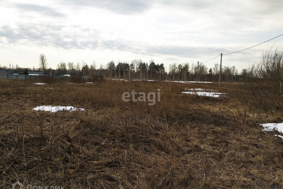 земля г Тюмень городской округ Тюмень, СО Зелёный бор фото 5