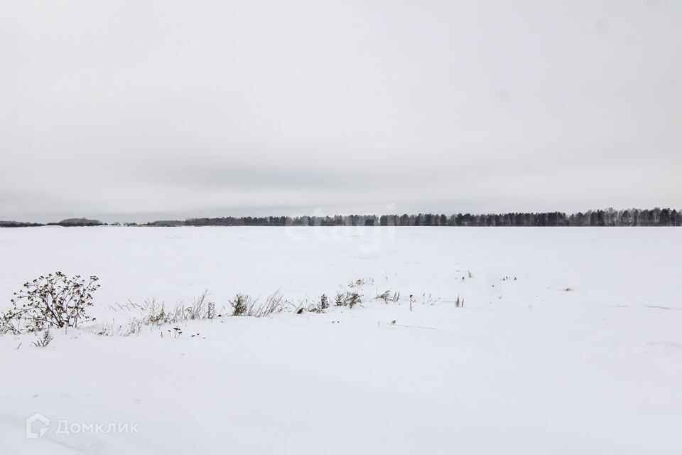 земля р-н Ленинский село Каменское фото 10