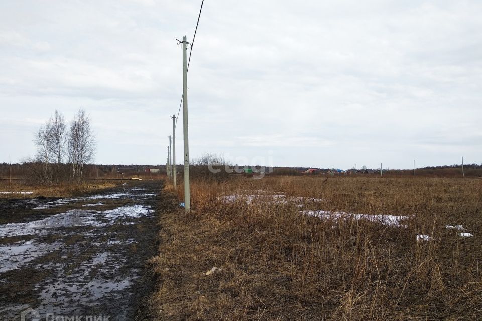 земля г Тюмень городской округ Тюмень, СО Зелёный бор фото 8