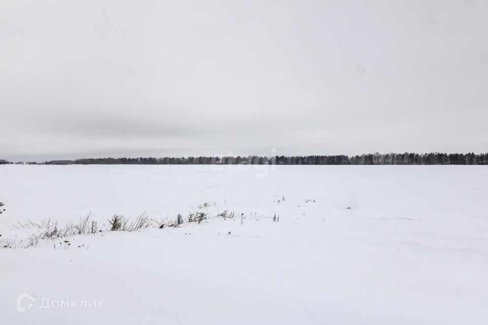 земля р-н Ленинский село Каменское фото 6