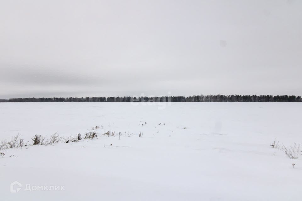 земля р-н Ленинский село Каменское фото 7