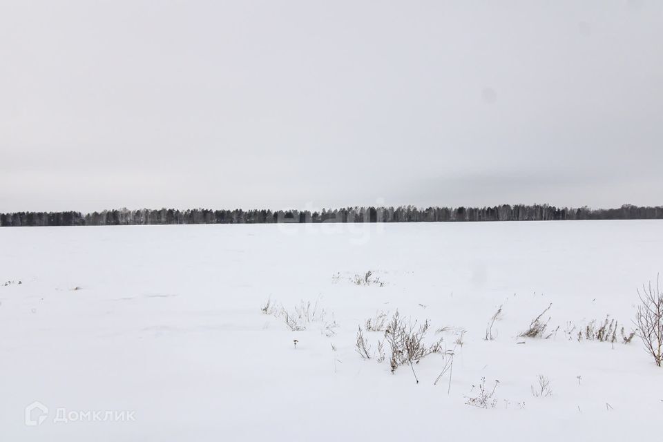 земля р-н Тюменский село Каменка фото 6