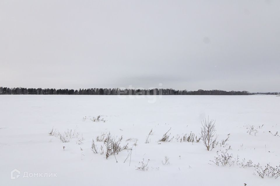 земля р-н Тюменский село Каменка фото 8