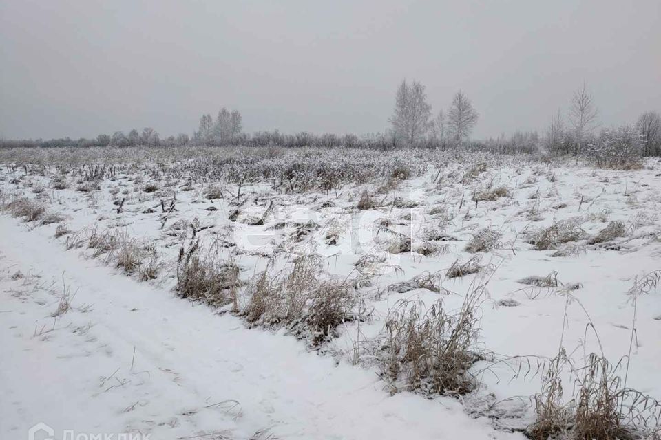 земля г Тюмень городской округ Тюмень, садовое товарищество Лаванда фото 7