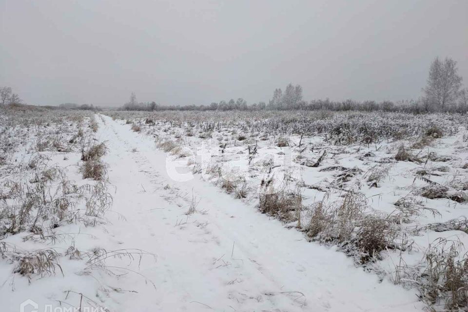 земля г Тюмень городской округ Тюмень, садовое товарищество Лаванда фото 9