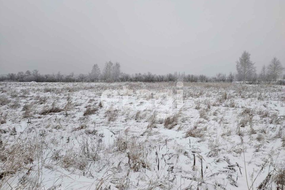 земля г Тюмень городской округ Тюмень, садовое товарищество Лаванда фото 8