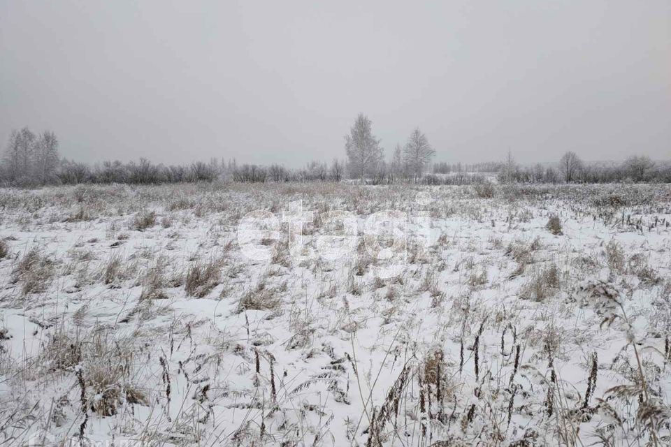 земля г Тюмень городской округ Тюмень, садовое товарищество Лаванда фото 7