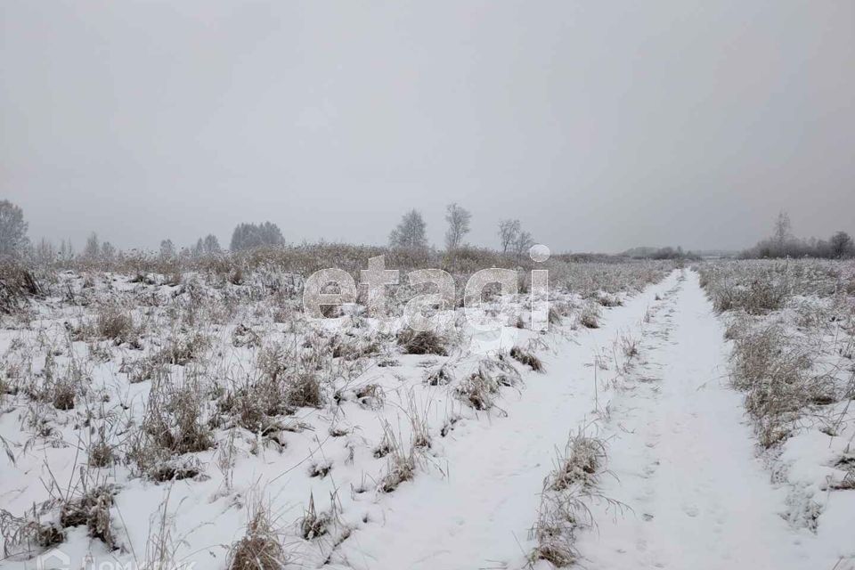 земля г Тюмень городской округ Тюмень, садовое товарищество Лаванда фото 10