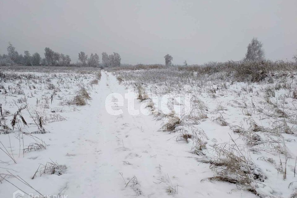 земля г Тюмень городской округ Тюмень, садовое товарищество Лаванда фото 10