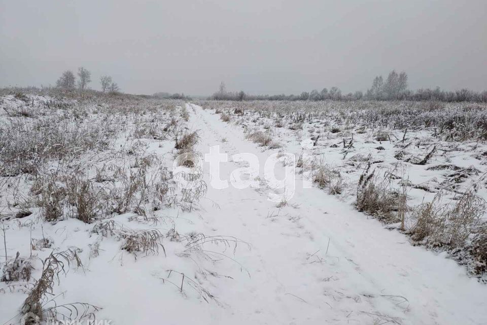 земля г Тюмень городской округ Тюмень, садовое товарищество Лаванда фото 6