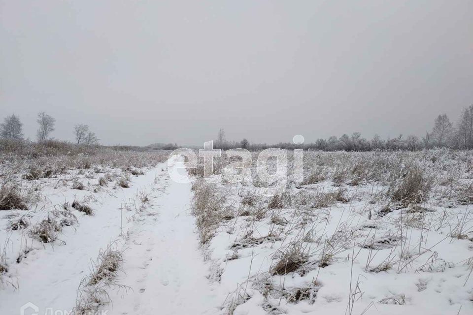 земля г Тюмень городской округ Тюмень, садовое товарищество Лаванда фото 9