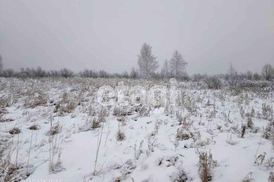 земля г Тюмень городской округ Тюмень, садовое товарищество Лаванда фото 8